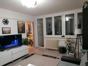 Apartman Laganini